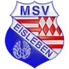 MSV Eisleben III
