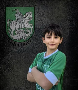 Amr Walid Darwish