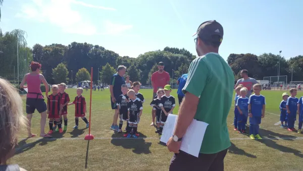 G-Jugend Turnier (VfB Sangerhausen)