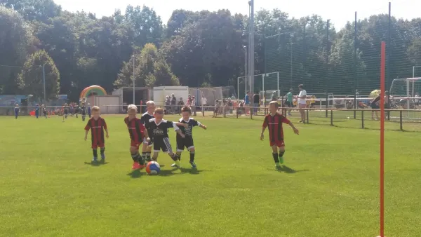 G-Jugend Turnier (VfB Sangerhausen)