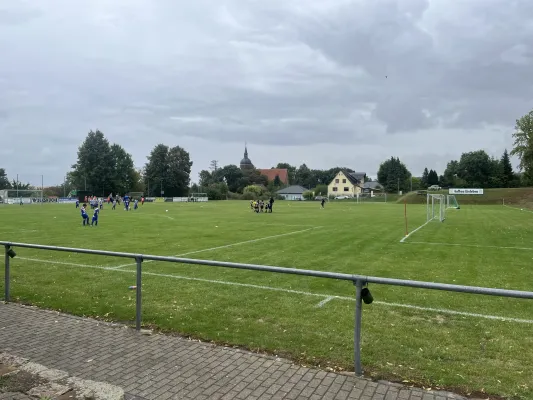 Turnier F-Jugend