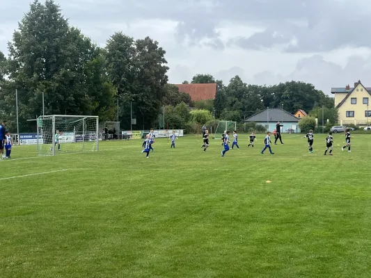 Turnier F-Jugend