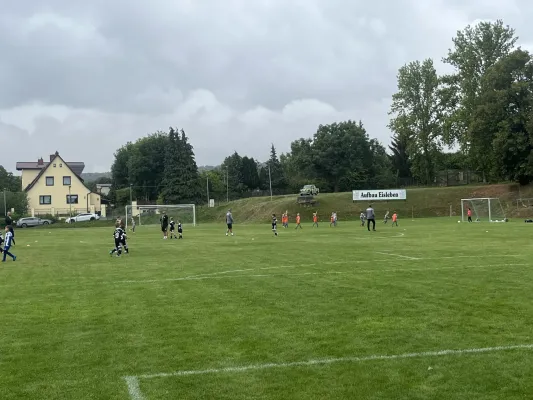 Turnier F-Jugend