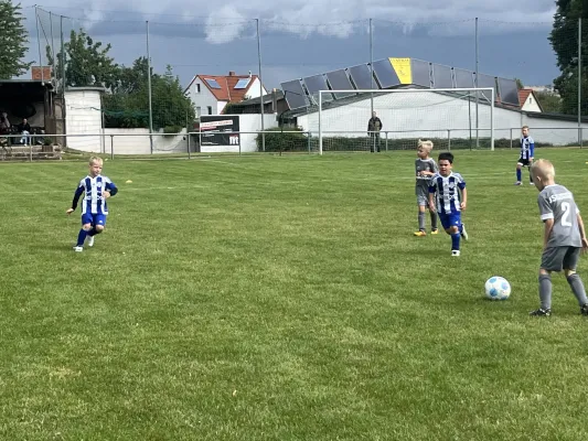 Turnier F-Jugend