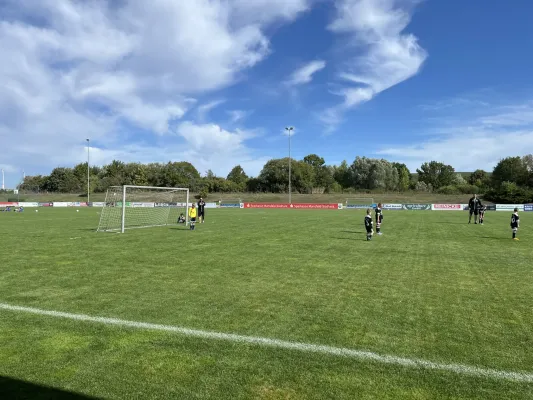 F Jugend Turnier beim MSV