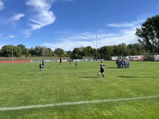 F Jugend Turnier beim MSV
