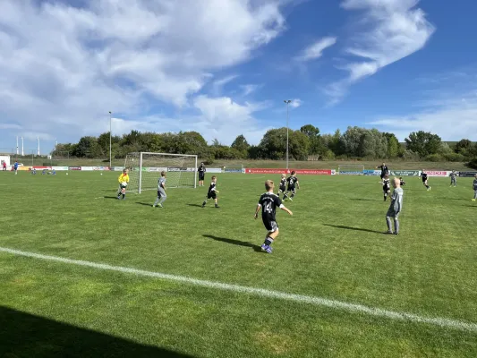 F Jugend Turnier beim MSV
