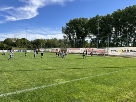 F Jugend Turnier beim MSV