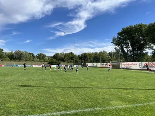 F Jugend Turnier beim MSV