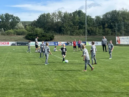 F Jugend Turnier beim MSV