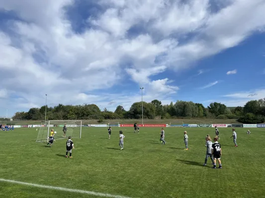 F Jugend Turnier beim MSV