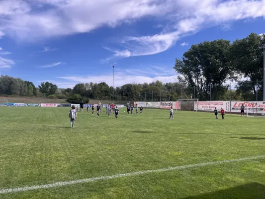 F Jugend Turnier beim MSV