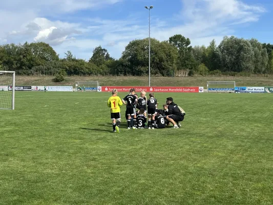 F Jugend Turnier beim MSV