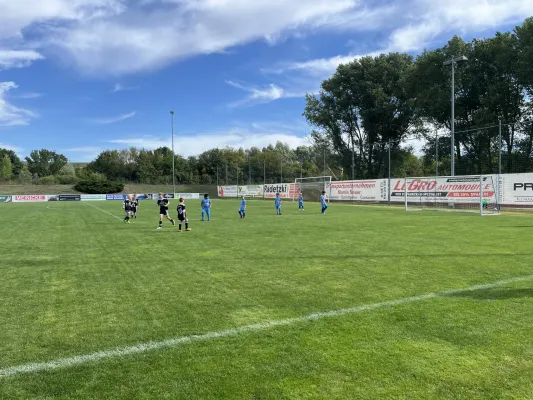 F Jugend Turnier beim MSV