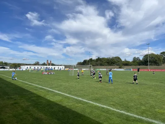 F Jugend Turnier beim MSV