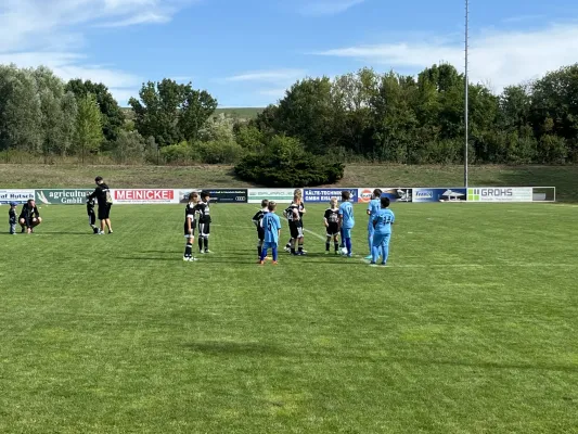 F Jugend Turnier beim MSV