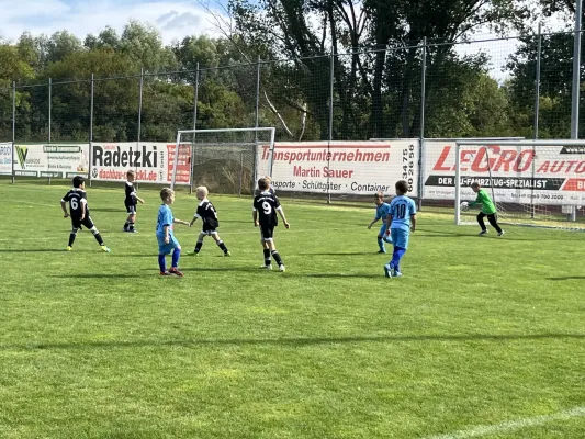 F Jugend Turnier beim MSV