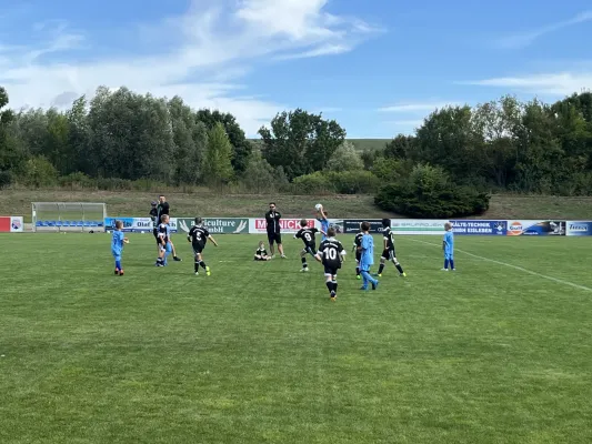F Jugend Turnier beim MSV