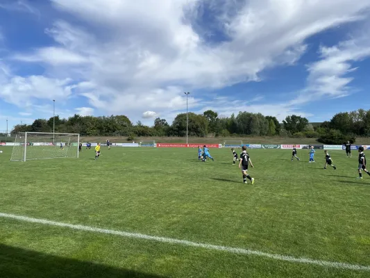 F Jugend Turnier beim MSV