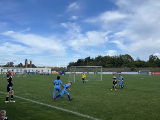 F Jugend Turnier beim MSV