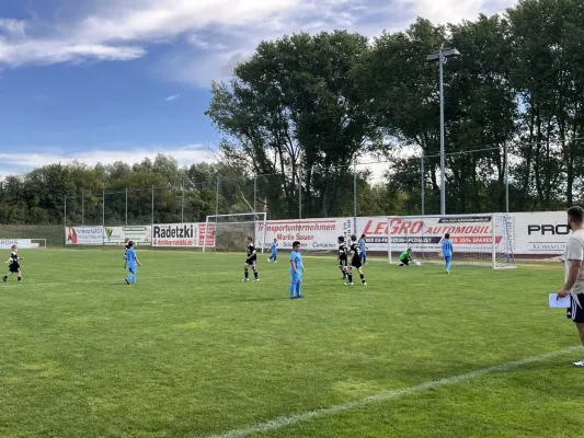 F Jugend Turnier beim MSV