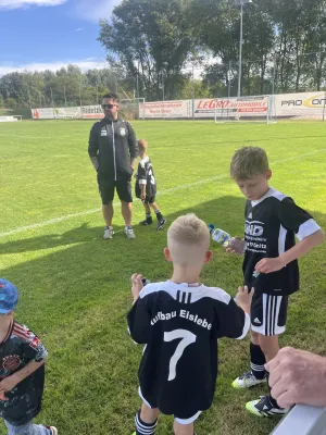 F Jugend Turnier beim MSV