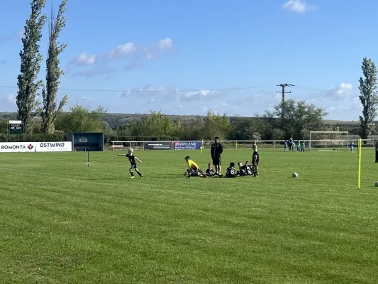 Turnier der F Jugend bei  JSG Romonta Seegebiet