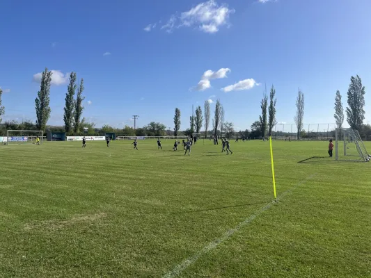 Turnier der F Jugend bei  JSG Romonta Seegebiet