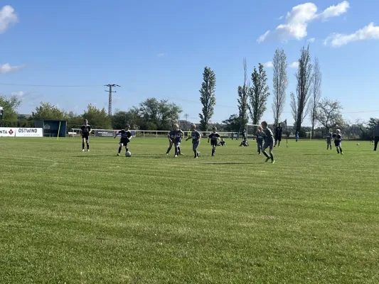 Turnier der F Jugend bei  JSG Romonta Seegebiet