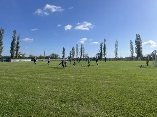 Turnier der F Jugend bei  JSG Romonta Seegebiet