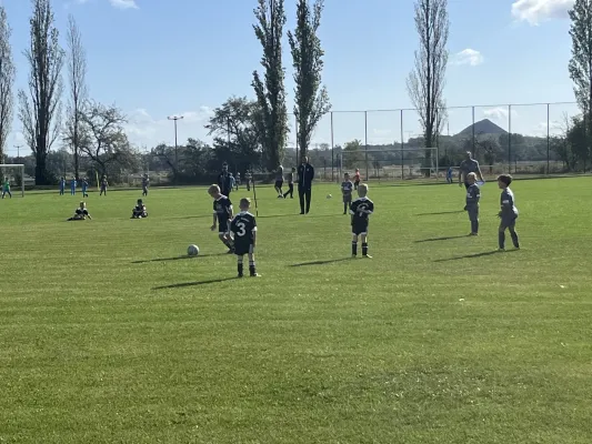 Turnier der F Jugend bei  JSG Romonta Seegebiet