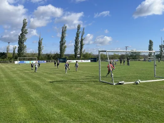 Turnier der F Jugend bei  JSG Romonta Seegebiet