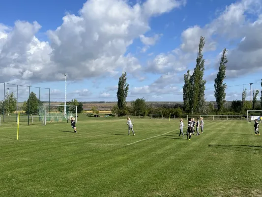 Turnier der F Jugend bei  JSG Romonta Seegebiet