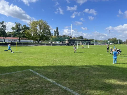 Turnier der F Jugend bei  JSG Romonta Seegebiet
