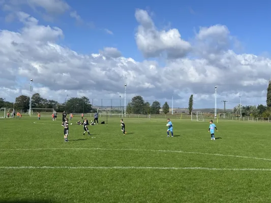 Turnier der F Jugend bei  JSG Romonta Seegebiet
