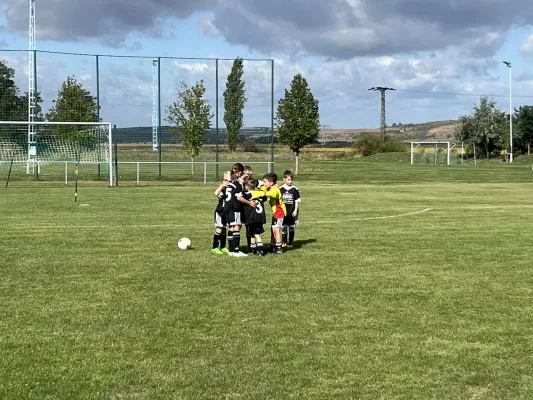 Turnier der F Jugend bei  JSG Romonta Seegebiet
