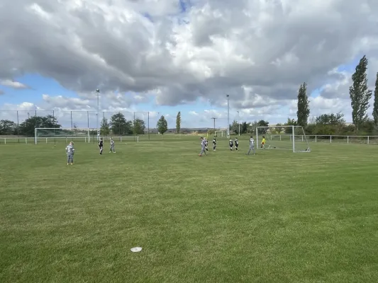 Turnier der F Jugend bei  JSG Romonta Seegebiet