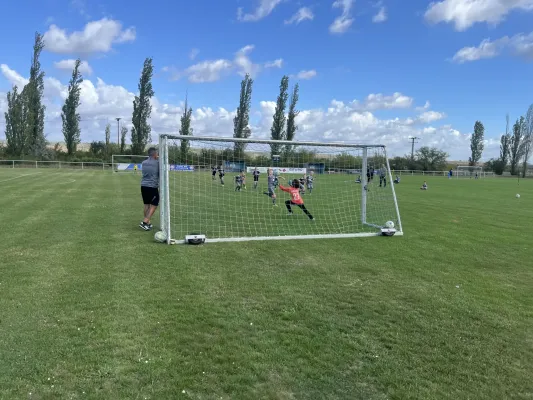 Turnier der F Jugend bei  JSG Romonta Seegebiet