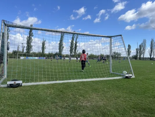 Turnier der F Jugend bei  JSG Romonta Seegebiet