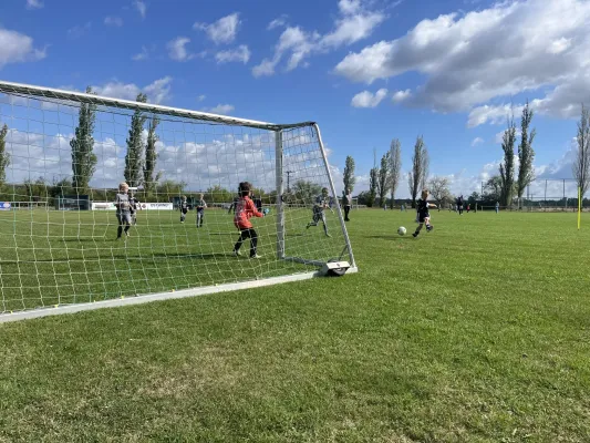 Turnier der F Jugend bei  JSG Romonta Seegebiet