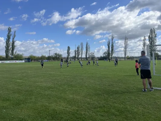 Turnier der F Jugend bei  JSG Romonta Seegebiet