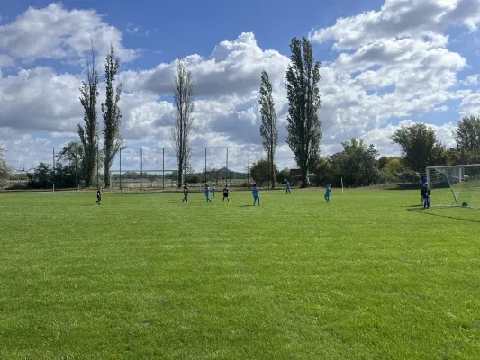 Turnier der F Jugend bei  JSG Romonta Seegebiet