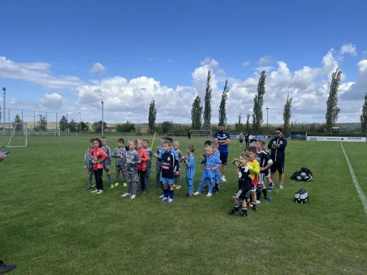 Turnier der F Jugend bei  JSG Romonta Seegebiet