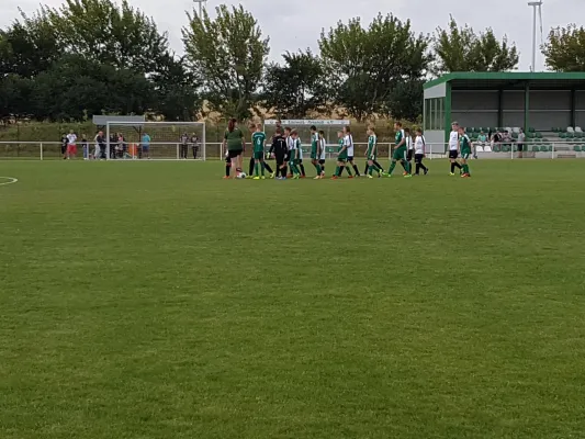 14.08.2016 SV Edelweiß Arnstedt vs. BuSG Aufbau Eisleben